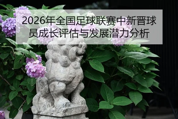 nian-quan-guo-zu-qiu-lian-sai-zhong-xin-jin-qiu-yuan-cheng-zhang-ping-gu-yu-fa-zhan-qian-li-fen-xi-2-526.jpg