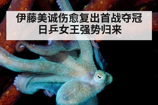 伊藤美诚伤愈复出首战夺冠日乒女王强势归来